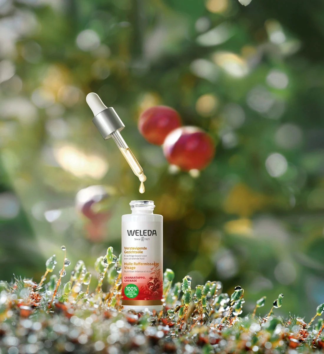 Weleda Granaatappel Verstevigende Gezichtsolie 2 Weleda Granaatappel Verstevigende Gezichtsolie - Afbeelding 2