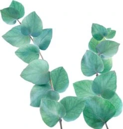 Kneipp Refreshing - Badolie -Verzorgingsvoordeel Huis 1145x1200 2