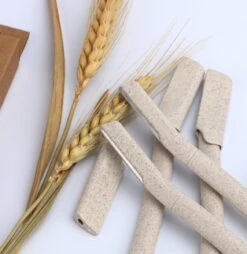 INTER-ESQUE Wenkbrauw Mesje - Eyebrow Razor - Dermaplaning - Scheermesjes Gezicht - Wenkbrauw Scheermesje Van Tarwestro - 6 Stuks 3x Groot + 3x Klein -Verzorgingsvoordeel Huis 1168x1200 2