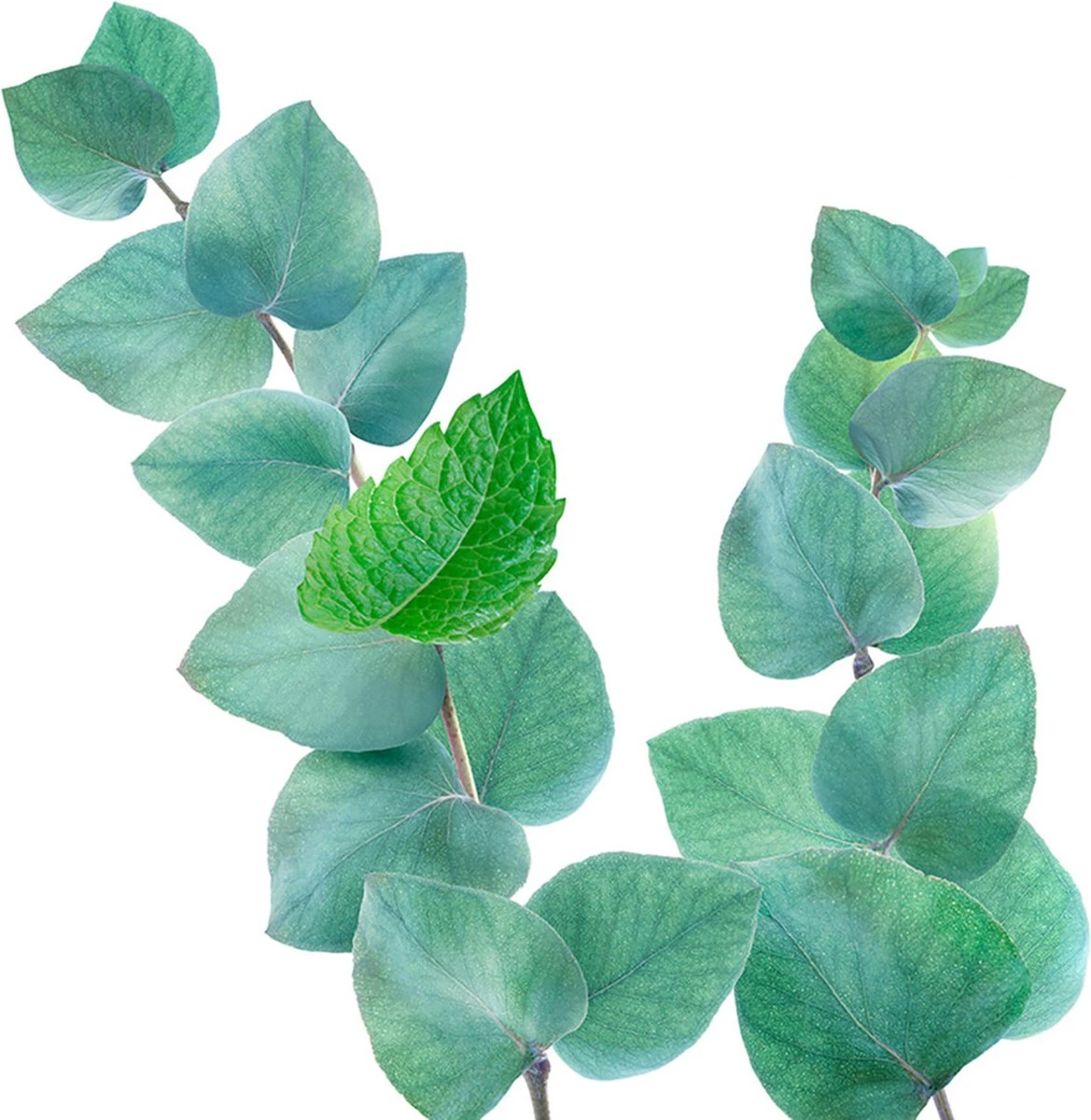 Kneipp Refreshing - Douche Foam 7 Kneipp Refreshing - Douche Foam - Afbeelding 7