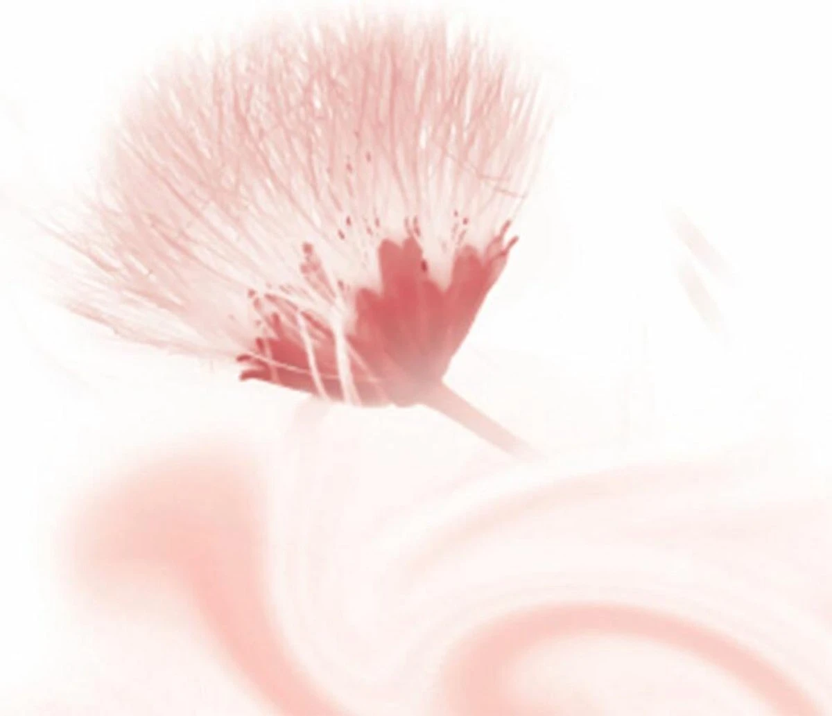 Kneipp Silky Secret - Douchegel 5 Kneipp Silky Secret - Douchegel - Afbeelding 5