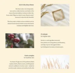 Glow Deep Serum Arbutan + Ricebran Tegen Pigmentatie 10 Glow Deep Serum Arbutan + Ricebran Tegen Pigmentatie -Verzorgingsvoordeel Huis 1200x1167 1