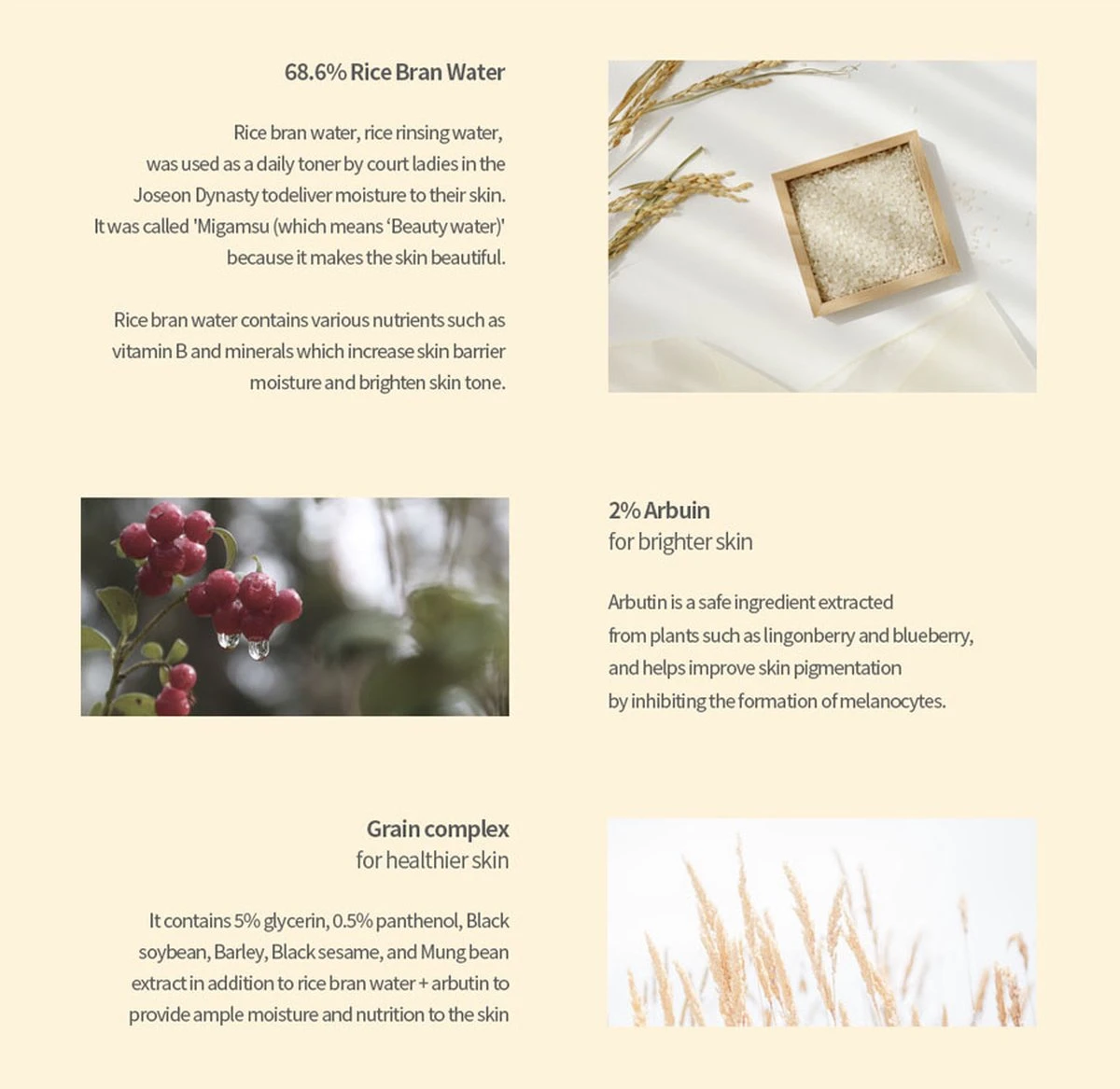 Glow Deep Serum Arbutan + Ricebran Tegen Pigmentatie 3 Glow Deep Serum Arbutan + Ricebran Tegen Pigmentatie - Afbeelding 3