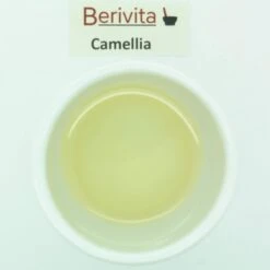 Camellia Olie Puur 50ml - Witte Japonica - Huidolie En Haarolie -Verzorgingsvoordeel Huis 1200x1198 1