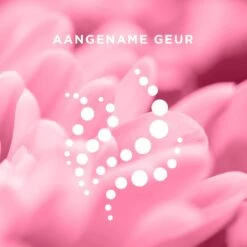 Veet - Minima Ontharingscrème - Gevoelige Huid - 200 Ml 12 Veet - Minima Ontharingscrème - Gevoelige Huid - 200 Ml -Verzorgingsvoordeel Huis 1200x1200 1192