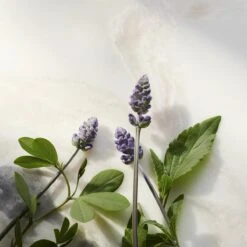 RITUALS The Ritual Of Namaste Glow Anti-Ageing Day Cream Refill - 50 Ml -Verzorgingsvoordeel Huis 1200x1200 1526