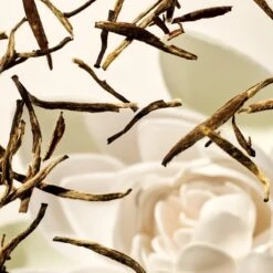 RITUALS The Ritual Of Karma Body Cream & Refill Duo - 440 Ml -Verzorgingsvoordeel Huis 1200x1200 153