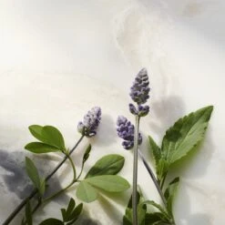 RITUALS The Ritual Of Namaste Glow Anti-Ageing Serum Refill - 30 Ml -Verzorgingsvoordeel Huis 1200x1200 1611