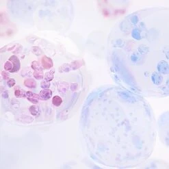 NIVEA CELLular Anti-Age - 15 Ml - Oogcrème 15 NIVEA CELLular Anti-Age - 15 Ml - Oogcrème -Verzorgingsvoordeel Huis 1200x1200 1667