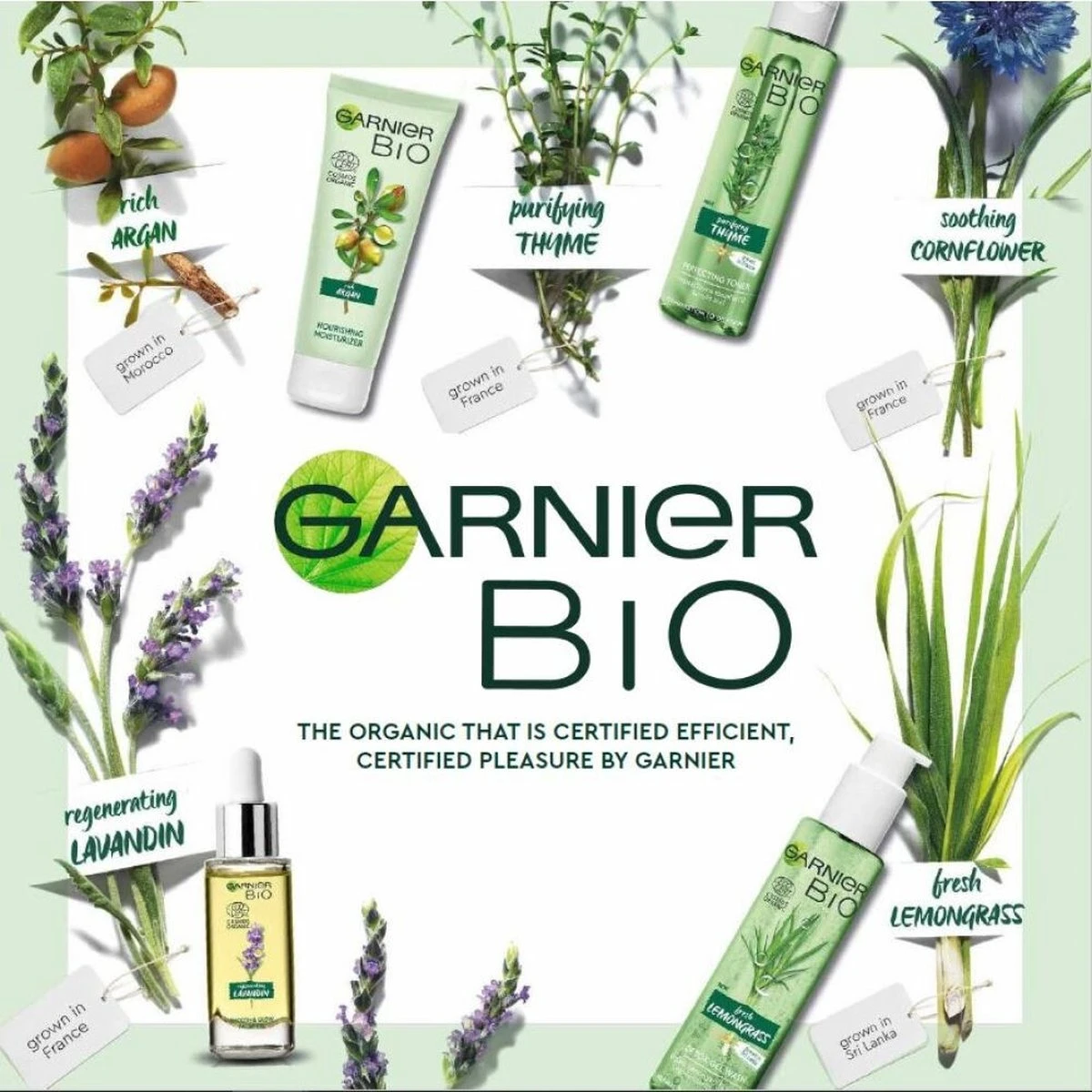 Garnier Bio Anti-age Oogcrème - 15 Ml - Alle Huidtypes - Revitaliserende Lavendel 9 Garnier Bio Anti-age Oogcrème - 15 Ml - Alle Huidtypes - Revitaliserende Lavendel - Afbeelding 9