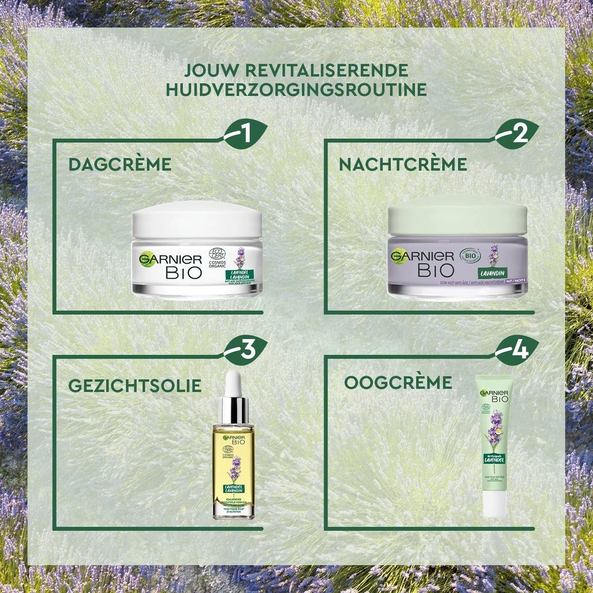 Garnier Bio Anti-age Oogcrème - 15 Ml - Alle Huidtypes - Revitaliserende Lavendel 13 Garnier Bio Anti-age Oogcrème - 15 Ml - Alle Huidtypes - Revitaliserende Lavendel - Afbeelding 13