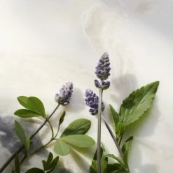 RITUALS The Ritual Of Namaste Glow Anti-Ageing Night Cream Refill - 50 Ml -Verzorgingsvoordeel Huis 1200x1200 1824