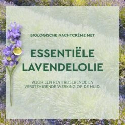 Garnier Skinactive Face Anti-Age Lavendel Nachtcrème - 50 Ml - Alle Huidtypes -Verzorgingsvoordeel Huis 1200x1200 1833