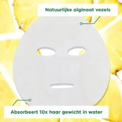 Garnier SkinActive Ampul Sheet Mask Met Ananas & Vitamine C Serum - 5 Stuks -Verzorgingsvoordeel Huis 1200x1200 1872