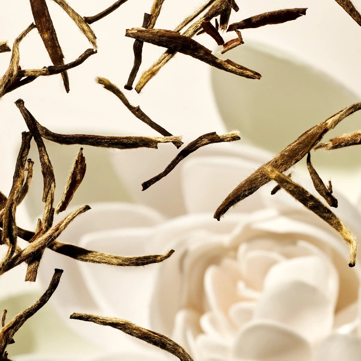 RITUALS The Ritual Of Karma Refill Body Cream - 220 Ml 5 RITUALS The Ritual Of Karma Refill Body Cream - 220 Ml - Afbeelding 5