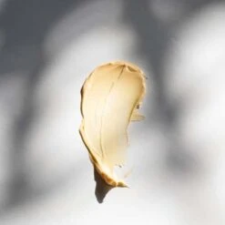 Dermalogica Multivitamin Power Recovery Gezichtsmasker - 75 Ml 13 Dermalogica Multivitamin Power Recovery Gezichtsmasker - 75 Ml -Verzorgingsvoordeel Huis 1200x1200 1907