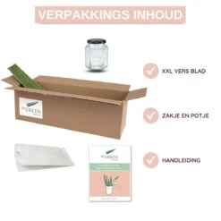 Dr. Green® 1x- Aloë Vera Blad - MAAK GEL IN 3 MINUTEN - 100% Puur - Biologisch -Verzorgingsvoordeel Huis 1200x1200 248