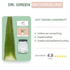 Dr. Green® 1x- Aloë Vera Blad - MAAK GEL IN 3 MINUTEN - 100% Puur - Biologisch -Verzorgingsvoordeel Huis 1200x1200 249