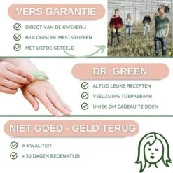 Dr. Green® 1x- Aloë Vera Blad - MAAK GEL IN 3 MINUTEN - 100% Puur - Biologisch -Verzorgingsvoordeel Huis 1200x1200 252