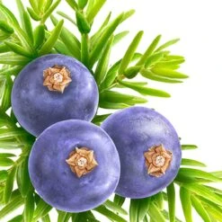 Kneipp Muscle Soothing - Douchegel -Verzorgingsvoordeel Huis 1200x1200 357