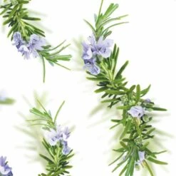 Kneipp New Energy - Douchegel 11 Kneipp New Energy - Douchegel -Verzorgingsvoordeel Huis 1200x1200 375