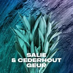 Axe Apollo Showergel - 6 X 250 Ml - Voordeelverpakking -Verzorgingsvoordeel Huis 1200x1200 546