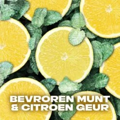 Axe Ice Chill 3-in-1 Douchegel - 6 X 250 Ml - Voordeelverpakking -Verzorgingsvoordeel Huis 1200x1200 635