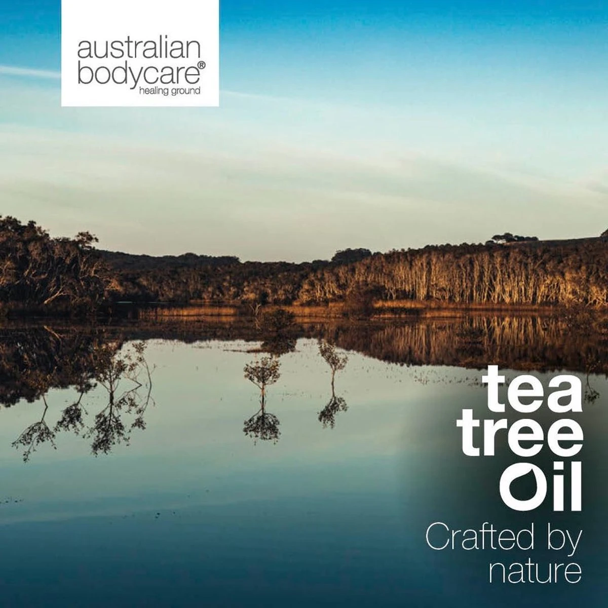 Australian Bodycare Intim Wash 200 Ml - Intieme Zeep Voor De Dagelijkse Wasbeurt Met Tea Tree Olie - Helpt Bij Jeuk, Onaangename Geurtjes En Ander Intiem Ongemak - Effectief Tegen Rode Bultjes, Scheerbrand En Ingegroeide Haartjes Na Intiem Scheren 5 Australian Bodycare Intim Wash 200 Ml - Intieme Zeep Voor De Dagelijkse Wasbeurt Met Tea Tree Olie - Helpt Bij Jeuk, Onaangename Geurtjes En Ander Intiem Ongemak - Effectief Tegen Rode Bultjes, Scheerbrand En Ingegroeide Haartjes Na Intiem Scheren - Afbeelding 5