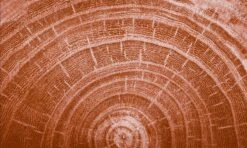 Kneipp Men - Warm Woods - Douche 2-in-1 -Verzorgingsvoordeel Huis 1200x720 1