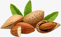 Amandelolie 100ml | 100% Puur & Onbewerkt | Koudgeperste Zoete Amandel Olie Voor Haar, Huid En Lichaam 9 Amandelolie 100ml | 100% Puur & Onbewerkt | Koudgeperste Zoete Amandel Olie Voor Haar, Huid En Lichaam -Verzorgingsvoordeel Huis 1200x723