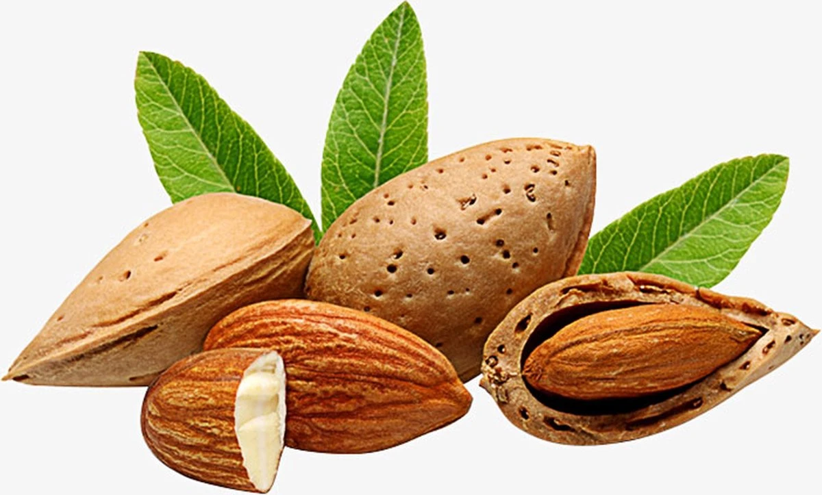 Amandelolie 100ml | 100% Puur & Onbewerkt | Koudgeperste Zoete Amandel Olie Voor Haar, Huid En Lichaam 4 Amandelolie 100ml | 100% Puur & Onbewerkt | Koudgeperste Zoete Amandel Olie Voor Haar, Huid En Lichaam - Afbeelding 4