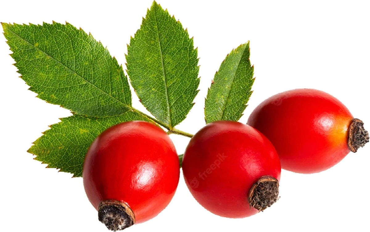 Rozenbottelolie 50ml| 100% Puur & Onbewerkt | Rosehip Oil Voor Huid, Haar En Lichaam 2 Rozenbottelolie 50ml| 100% Puur & Onbewerkt | Rosehip Oil Voor Huid, Haar En Lichaam - Afbeelding 2