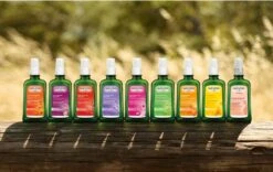 Weleda Duindoorn Vitaliserende Body Olie -Verzorgingsvoordeel Huis 1200x760 2