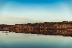 Australian Bodycare Body Treatment - 3 Producten Tegen Puistjes, Een Onzuivere Huid En Mee–eters Op De Rug En Billen Gebaseerd Op Tea Tree Olie - Bevat Douchegel En Peeling Om Je Huid Te Reinigen En Bodylotion Om Je Huid Te Hydrateren En Verzorgen -Verzorgingsvoordeel Huis 1200x800 20