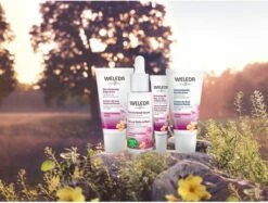 Weleda Evening Primrose Versterkende Dagcrème -Verzorgingsvoordeel Huis 1200x909 1