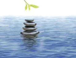 Kneipp Me-Time - Douche Foam -Verzorgingsvoordeel Huis 1200x921 2