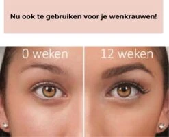 Beautyfit®2 In 1 Wimperserum En Wenkbrauw Serum - BEST WERKEND - Eye Lash Serum - Wimper Serum - Wenkbrauw Groei Serum - Lash Lift Kit - Wimper Lift - Snel Resultaat Wimpergroei 24 Beautyfit®2 In 1 Wimperserum En Wenkbrauw Serum - BEST WERKEND - Eye Lash Serum - Wimper Serum - Wenkbrauw Groei Serum - Lash Lift Kit - Wimper Lift - Snel Resultaat Wimpergroei -Verzorgingsvoordeel Huis 1200x972 2