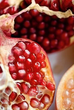 Weleda Granaatappel Verstevigende Dagcrème -Verzorgingsvoordeel Huis 803x1200 1