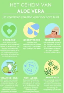 Aloeveco - Hydraterende Gel Van Aloe Vera - Genezende Huidverzorging - 99% Puur - Organic - 250 Ml 8 Aloeveco - Hydraterende Gel Van Aloe Vera - Genezende Huidverzorging - 99% Puur - Organic - 250 Ml -Verzorgingsvoordeel Huis 826x1200