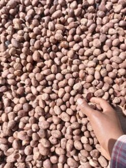 Verzorgingsvoordeel Huis -Verzorgingsvoordeel Huis 900x1200 2