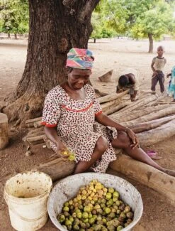 Whipped Unrefined Shea Butter - Biologisch Opgeklopte Ongeraffineerd Sheaboter Sheabutter 500 Ml -Verzorgingsvoordeel Huis 911x1200